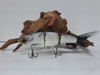 Image 1 of Paluxy Lures- Cakewalk colorway #15