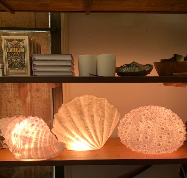 Image of Light Up Large Urchin Lamp