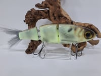 Image 3 of Paluxy Lures- Cakewalk colorway # 19