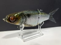 Image 6 of JC Glides- Jailbreaker colorway # 41