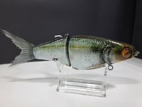 Image 4 of JC Glides- Jailbreaker colorway # 41