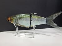 Image 5 of JC Glides- Jailbreaker colorway # 41