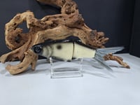 Image 1 of JC GLIDES- Jailbreaker colorway # 2