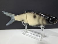 Image 5 of JC GLIDES- Jailbreaker colorway # 2