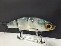 Image 5 of Paluxy Lures- Cakewalk colorway #11