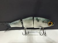 Image 7 of Paluxy Lures- Cakewalk colorway #11