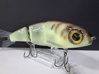 Image 2 of Paluxy Lures- Cakewalk colorway #21