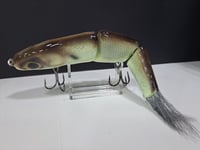 Image 4 of Paluxy Lures- Cakewalk colorway #21