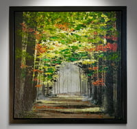 Image 10 of 'Woodland Wanderings'