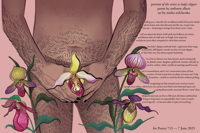 Portrait of the Artist as Lady's Slipper 11 x 17 Print
