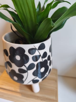 Image of   Pot trépied fleur noire