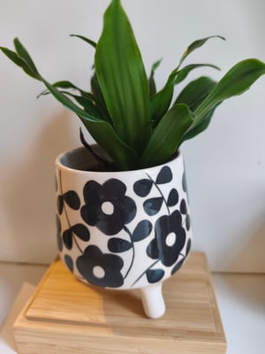 Image of   Pot trépied fleur noire