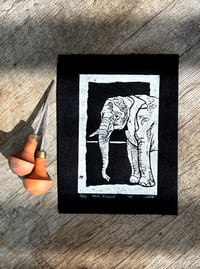 White Elephant (Black Paper) Limited Edition Linocut Block Print