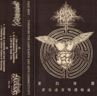 Pale Mist ‎– Through the Labyrinth and into Connectivity CS