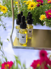 Image 3 of BEARD OIL 