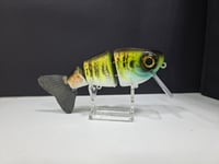 Image 1 of Fat Tony Tamale- painted by JC Glides colorway #16