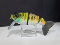 Image 7 of Fat Tony Tamale- painted by JC Glides colorway #16
