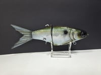 Image 3 of JC Glide- Jailbreaker colorway # 25