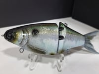 Image 4 of JC Glide- Jailbreaker colorway # 25