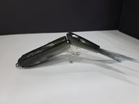 Image 5 of JC Glide- Jailbreaker colorway # 25