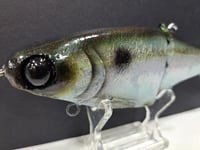 Image 7 of JC Glide- Jailbreaker colorway # 25