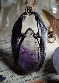 Image 1 of Dragon Jawbone & Fluorite Amulet