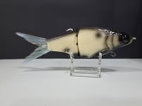 Image 2 of JC Glide- Jailbreaker colorway # 26