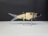 Image 1 of JC Glide- Jailbreaker colorway # 26