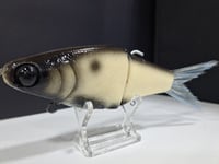 Image 6 of JC Glide- Jailbreaker colorway # 26