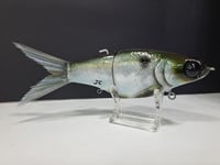 Image 2 of JC Glide- Jailbreaker colorway #27