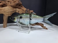 Image 1 of JC Glide- Jailbreaker colorway #27