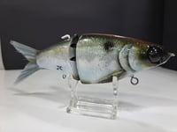 Image 5 of JC Glide- Jailbreaker colorway #27