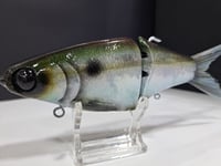 Image 6 of JC Glide- Jailbreaker colorway #27