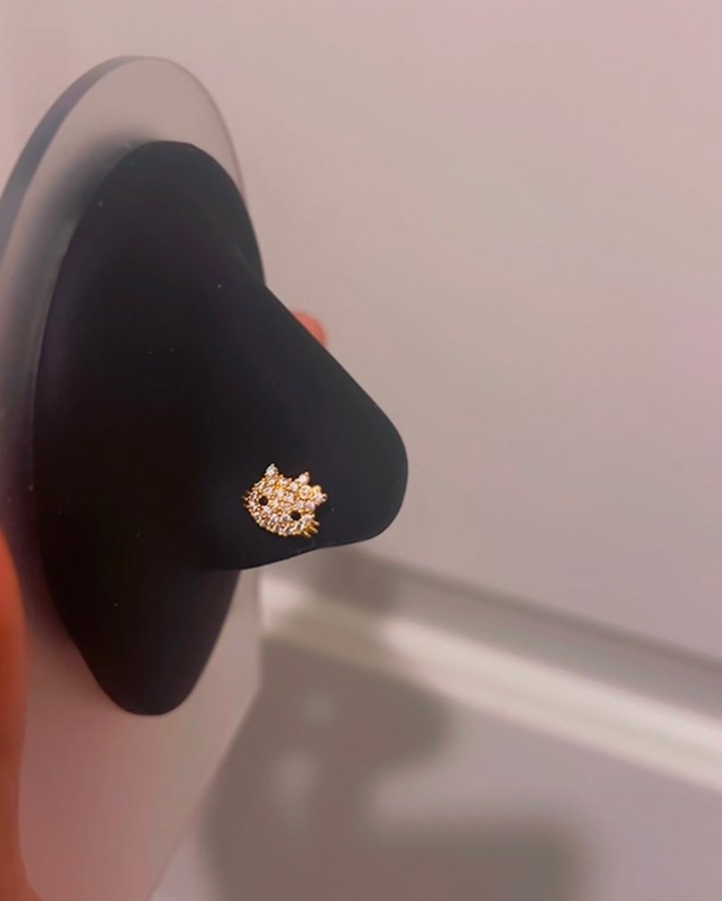 Image of HK Nose Ring 