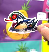 Mandarine Duck Sticker
