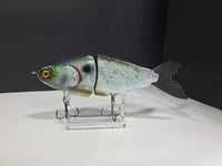 Image 1 of JC Glide- V-Notch colorway #11