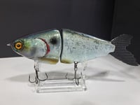 Image 4 of JC Glide- V-Notch colorway #11