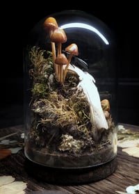 Image 5 of Rabbit Skull and Mushroom Glass Dome