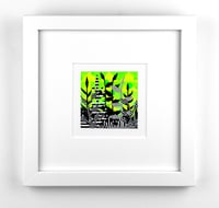 Image 1 of Green Skyfire Garden