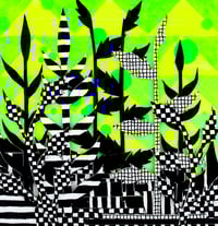 Image 2 of Green Skyfire Garden