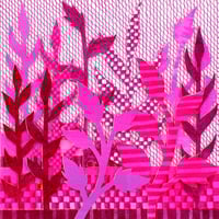 Image 2 of Fuchsia Flair Garden