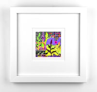 Image 1 of Rainbow Garden with Scaffold