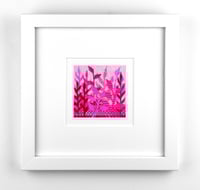 Image 1 of Fuchsia Flair Garden