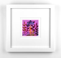 Image 1 of Little Sunset Daisy