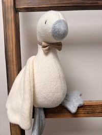 Black Tie Bird Collection 