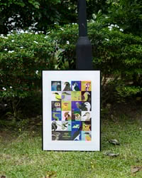 Image 2 of Birds of Singapore large print (A2)