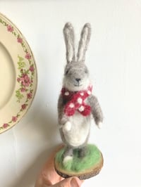 Image 1 of Handsome Hare