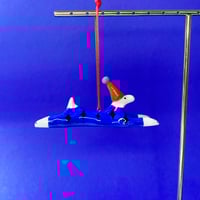 🪄 Magic Dog Blue 1