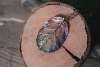 Image 2 of Vera foglia di rosa elettroformata in rame con finitura dipinta verde