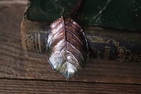 Image 1 of Vera foglia di rosa elettroformata in rame con finitura dipinta verde